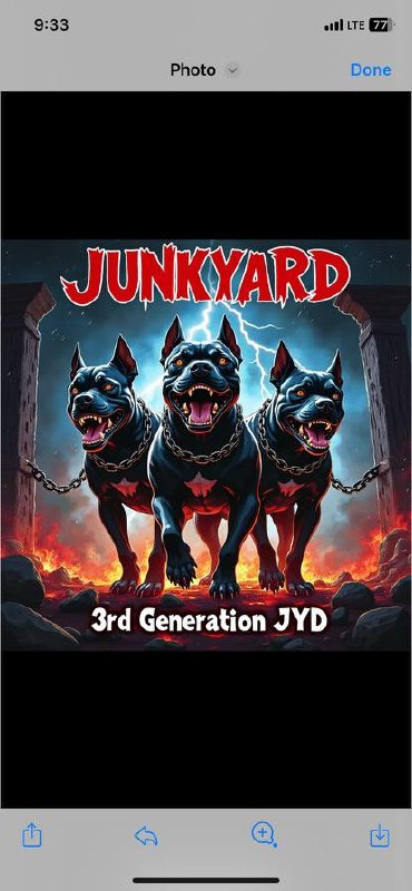 Junkyard 3rd Generation JYD