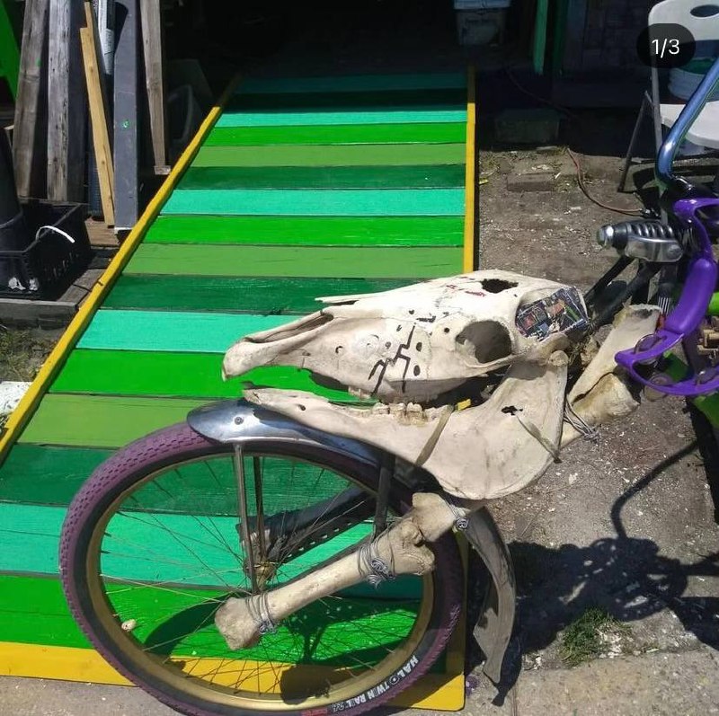 Skull bike at storefront